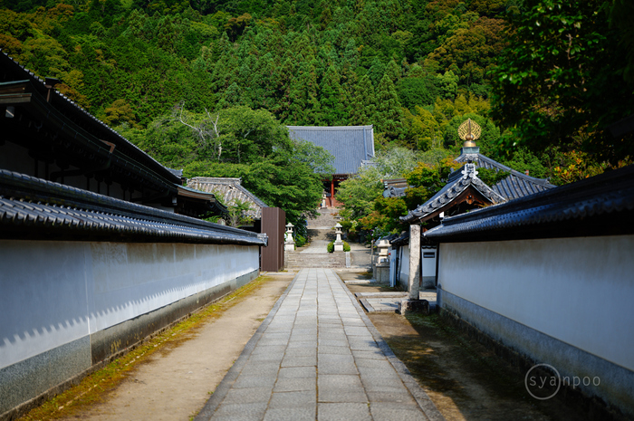 シグマ SIGMA 28-45mm F1.8 DG DN | Art レビュー（2） ／ 奈良 大和